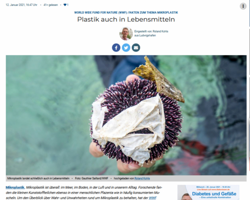 Vorschau der Website