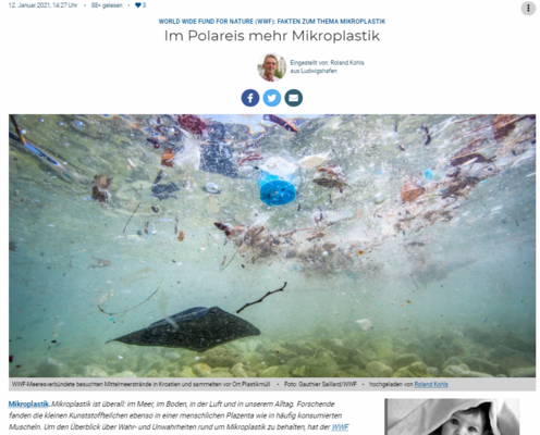 Vorschau der Website