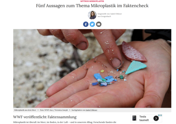 Vorschau der Website