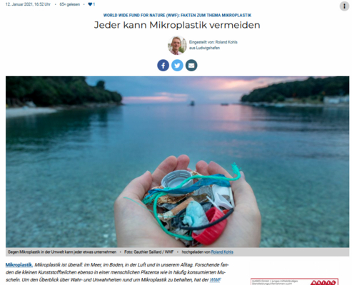 Vorschau der Website