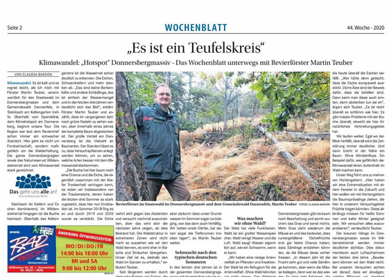 Vorschau des Artikels