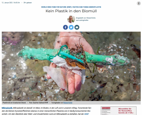 Vorschau der Website